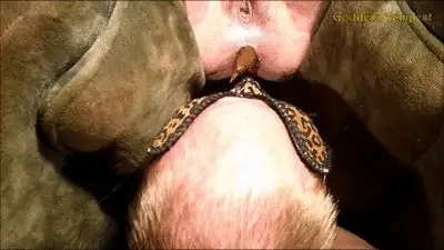 Goddess Tempest - Household Toilet Humiliation
