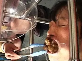 Toilet Slaves Scatology - Girls Dormitory's 24/7 human toilet!