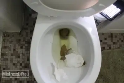 * Mistress Mystique of Toronto' Scat Store - The Girl Next Door's Toilet Paper