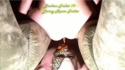 Goddess Tempest - Broken Toilet 19 - Living Room Toilet