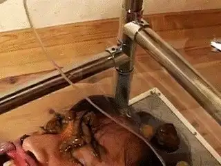 Toilet Slaves Scatology - Pathetic Human Toilet Lives for Eating Shit! - Part 1