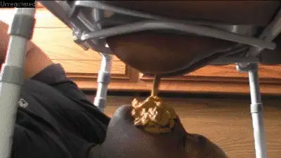 QOS Fetish Fantasy - Keishas shitting compilation Iphone/Ipod