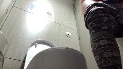 Carla Santos - Public Toilet Chronicles