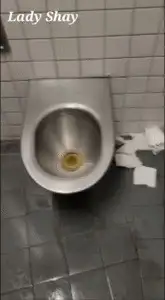 Lady Shay - Disgusting public toilet