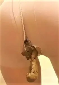 EATINGALLSHITFROMGODDESSES - Andreea and frend pantyhose pooping and anal