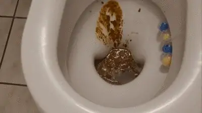 Lady Shay - Extrem Toilet slave