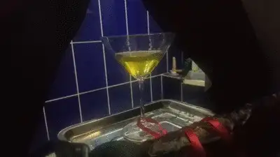 Silicone Goddess Antonella - Huge strapon with champagne...Happy holidays my slaves