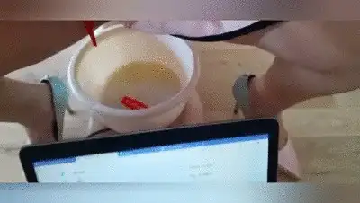J.Sinner - Drink piss bitch