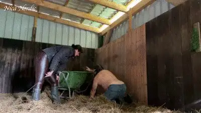 Miss Nica Nordic - new chaste stable boy at work