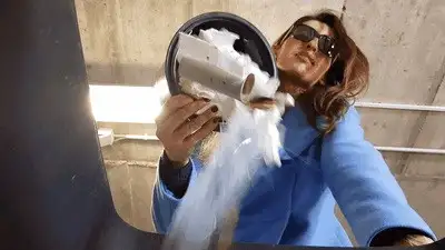 Madame Marissa - You eat my garbage - and pay for it!