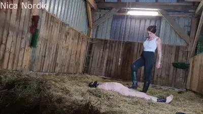 Miss Nica Nordic - Not only horses are marked