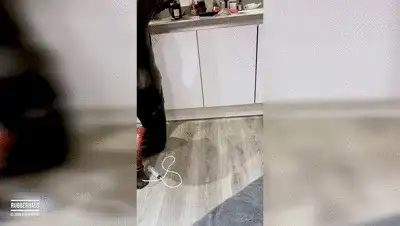 RubberHaus - Rubber gimp serves champagne and licks it from the floor