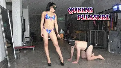 Gaia Femdom - MISTRESS GAIA - QUEENS PLEASURE - HD