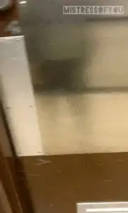 * Mistress Mystique of Toronto' Scat Store - Footage From the Mall