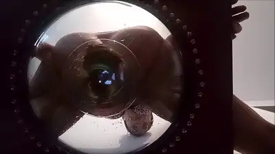 Under Mistress Roberta ass! - Mistress Roberta -Cbt orders and food pov