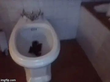 Savannah toilet lover - pee and poo in my bidet