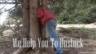 Lady Scarlet - LADY SCARLET - WE HELP YOU TO UNSTUCK