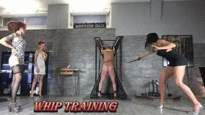 Gaia Femdom - MISTRESS GAIA - WHIP TRAINING - HD