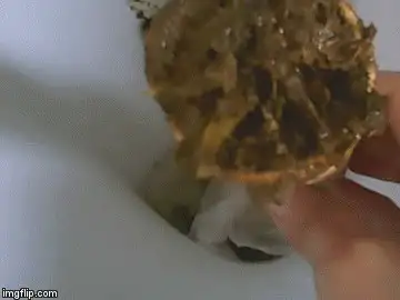 Savannah toilet lover - Yummy chocolate's ice cream