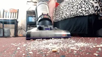 Double Trouble - No Escape Trapped in My Vacuum