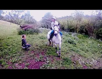Cucciolo Extreme - Equestrian Discipline