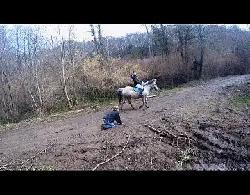 Cucciolo Extreme - Cuel Girl Dressage