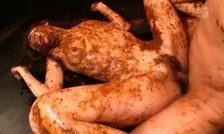 Toilet Slaves Scatology - Pooping Throne & Fucked! - P 2