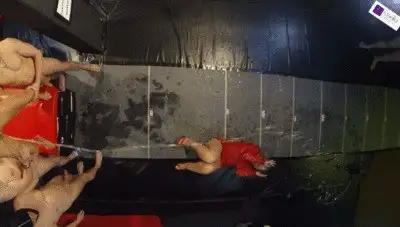 RosellaExtrem - 6 meters and 1 liter Mega-Squirt! Girlfriend splashed me extremely full!