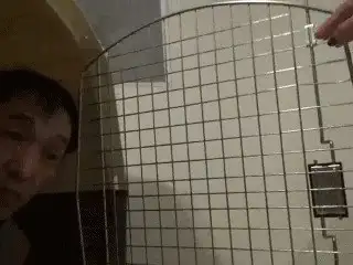 Toilet Slaves Scatology - Teatime with Obedient Human Pet! - P 1