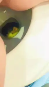 LadyVikkiWet - Poo compilation num.1
