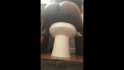 ASStonishMENt - Sinnamin's Bussy Cum Dump!!