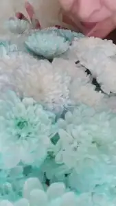 LadyVikkiWet - Bunch flowers