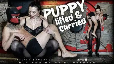 Lady Scarlet - LADY SCARLET - LIFTED AND CARRIED PUPPY