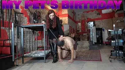 Lady Scarlet - LADY SCARLET - MY PET'S BIRTHDAY