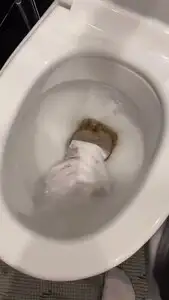 LadyVikkiWet - toilet flushing collection