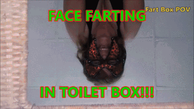 Fart Box POV