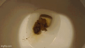 Poopy Plops Nose Blowing Morning Shit
