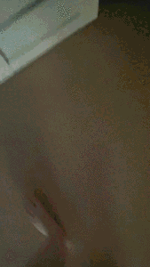 Dirty toilet bowl