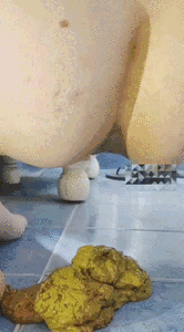Diarrhea for my dildo!