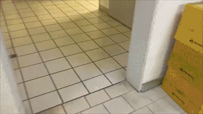 Diarrhea Explosion at public toilet