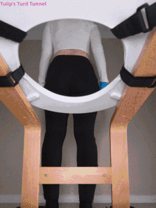 Tulips Toilet (2 Angles)