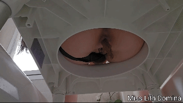 Toilet Slave Double Dose of Dominance
