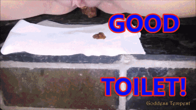 Extreme Scat Scenes 3