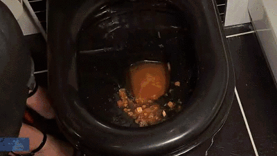 Miss Anja Black Feeding  the useless  Toilet Slave