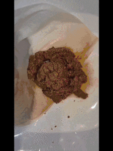 Scat Compilation 6