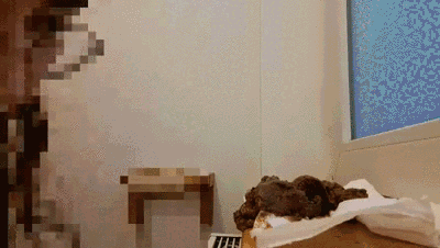 Scat after a great party