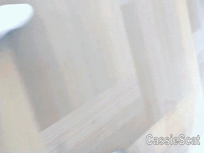 Taking a Shit in an Airplane Toilet